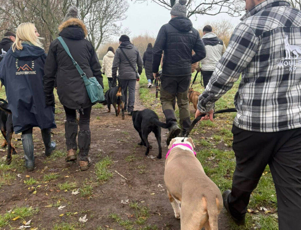 Boarding & pack walks